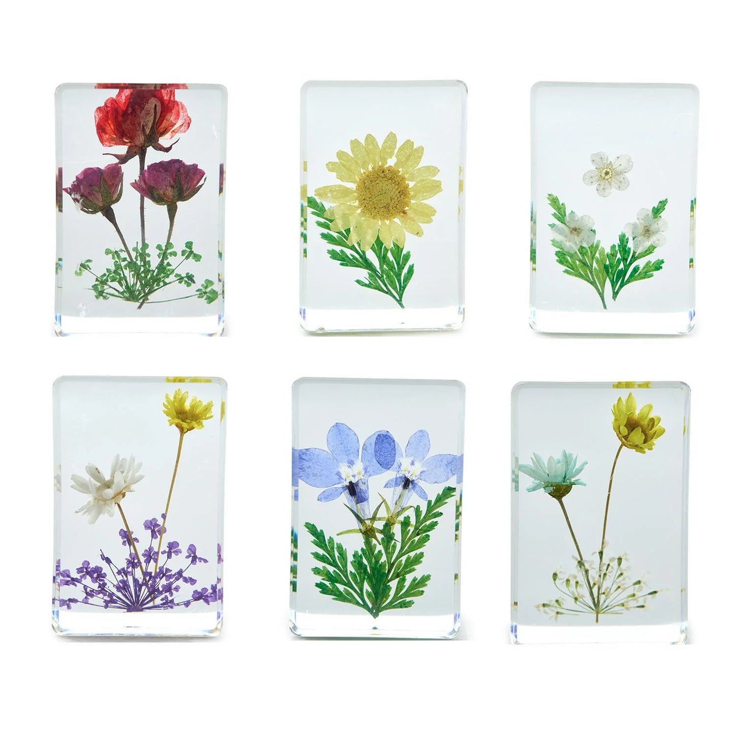 WILDFLOWER PRESSED FLORAL KEEPSAKE